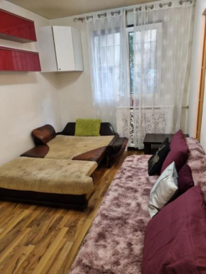 Apartament elegant, central, Bd. Unirii